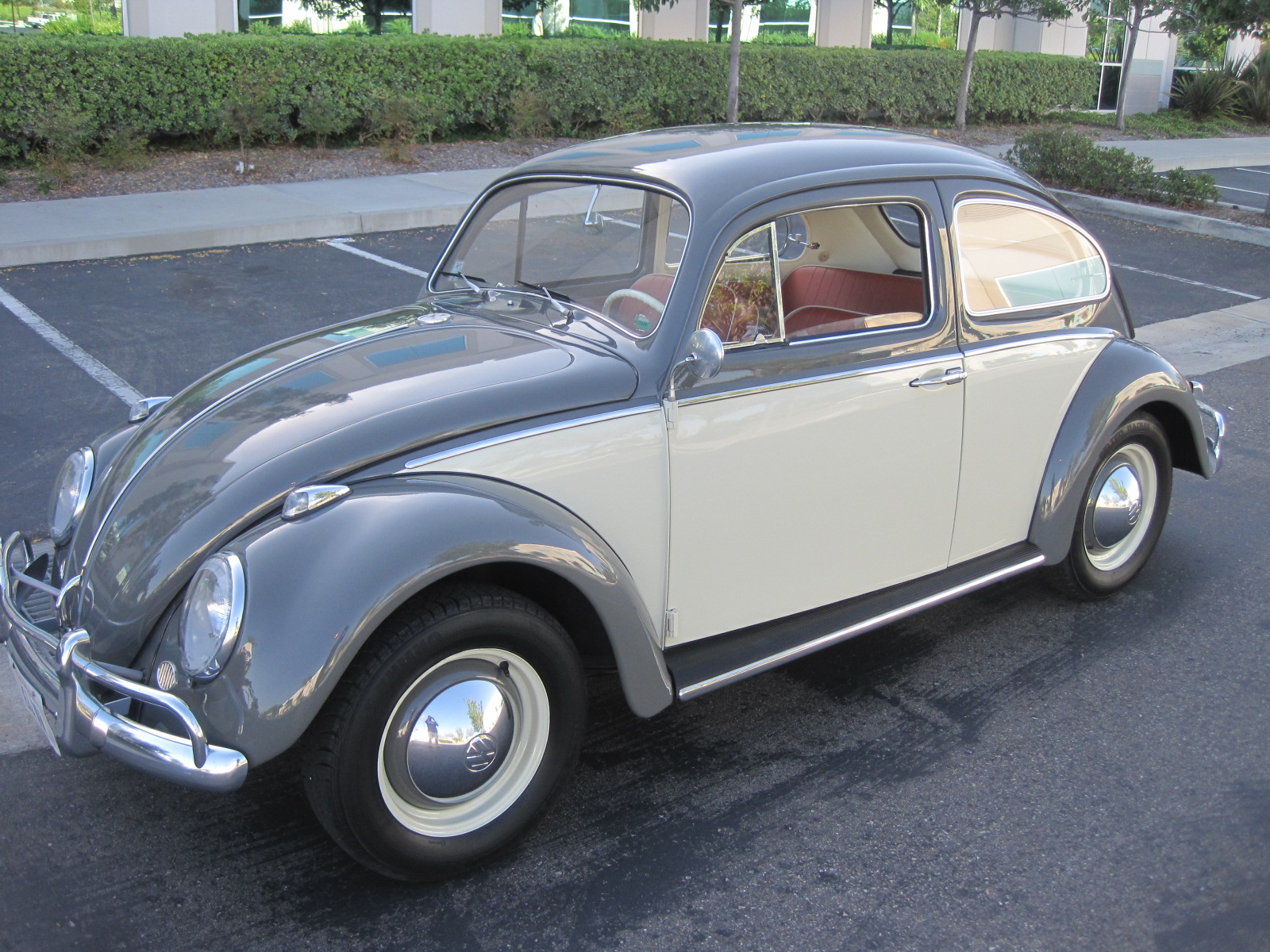 '64 VW Bug: Left Side